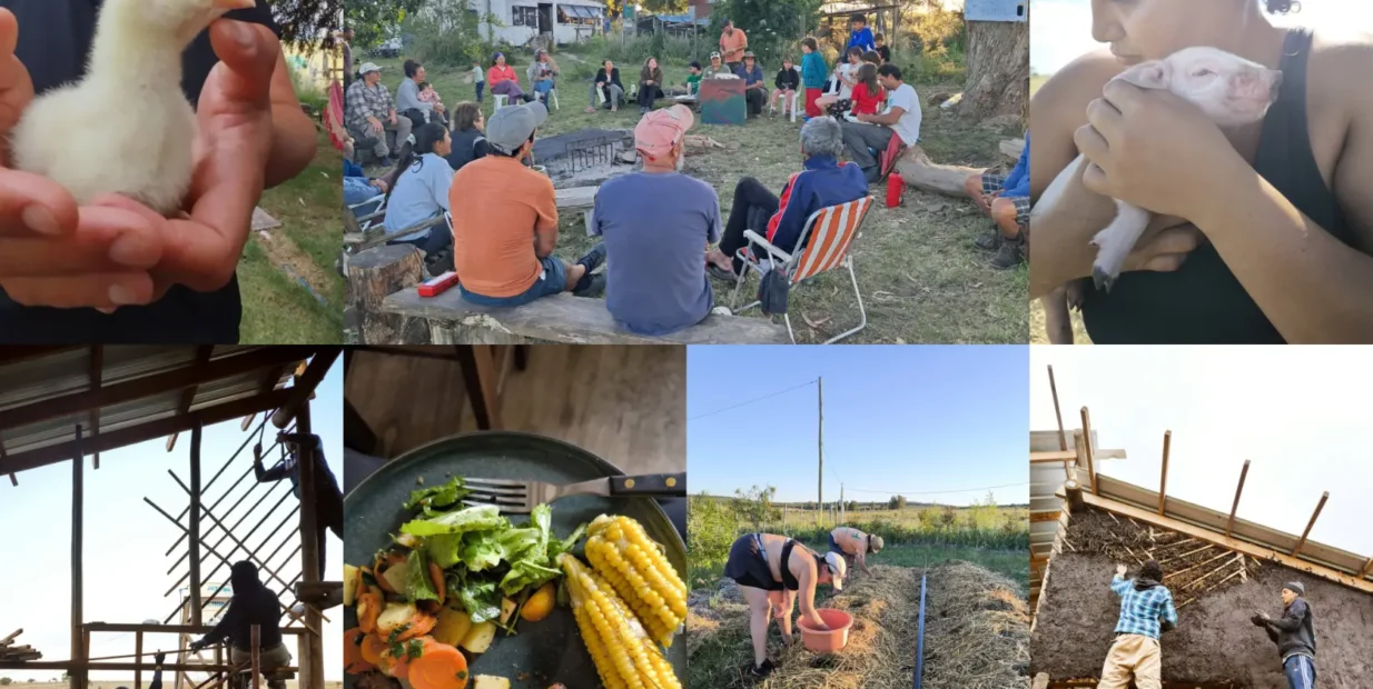 Volunteer in Uruguay farm exchange collage, yurt stay, garden work, chickens, shared meals and bioconstruction.
