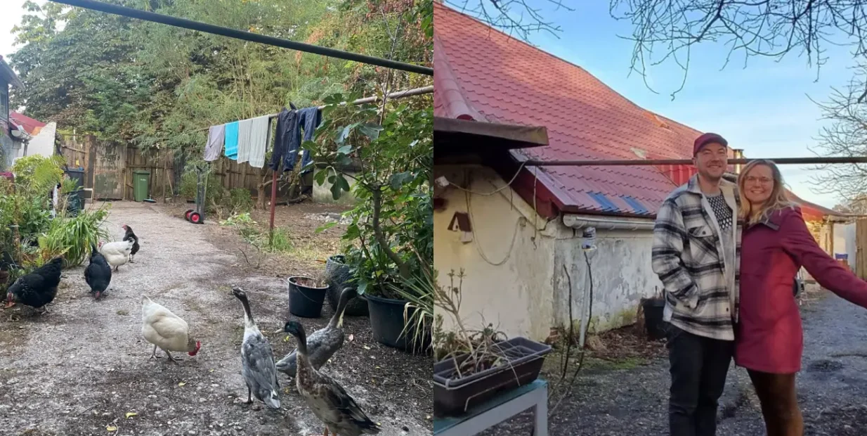 Project Urkraft volunteer farm in Westerbroek, Groningen, chickens and ducks in a rustic courtyard.