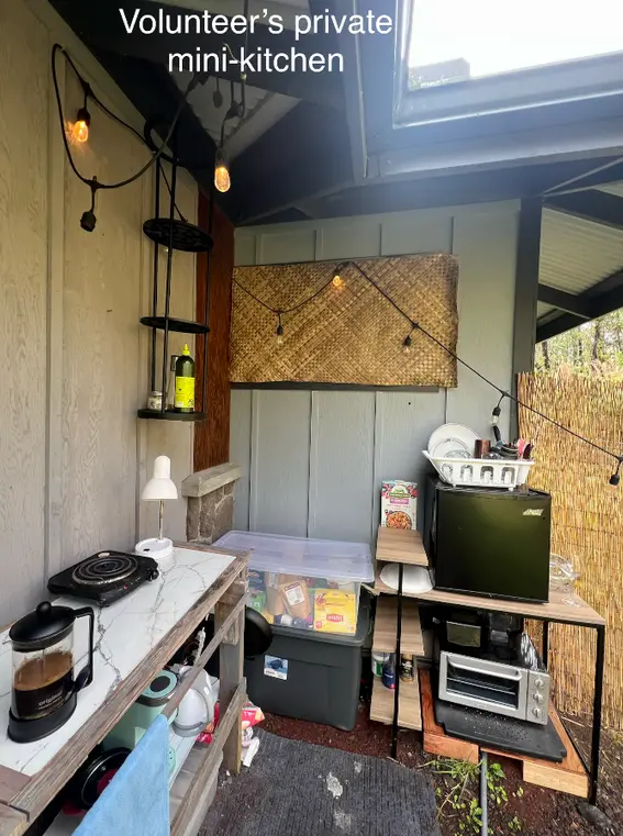 Volunteer mini kitchen area at women-only work exchange in Volcano, Hawaii, showing small fridge, hot plate, toaster oven and basic storage in off-grid rainforest B&B.