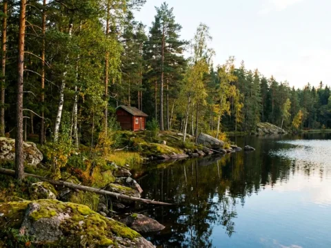 Small red cabin by a calm lake, surrounded by pine and birch forest in rural Sweden, with mossy rocks along the shore.