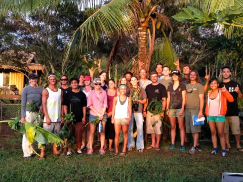 Group of volunteers at Kolea permaculture farm in Haleiwa, Hawaii, during a work exchange focused on organic farming, gardening, and community life