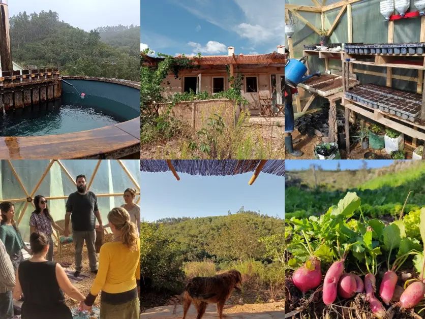 Collage from an off grid eco farm in Alentejo, Portugal, showing a hot tub or spa area, an earth house, greenhouse seedlings, a group gathering in a dome, forest views with a dog, and fresh garden radishes from the volunteer project.