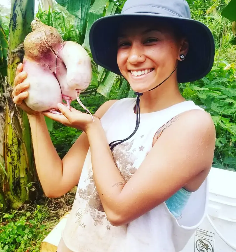 Volunteer holding a freshly harvested giant root crop on a permaculture farm in Haleiwa, Hawaii, during an organic farming and gardening work exchange