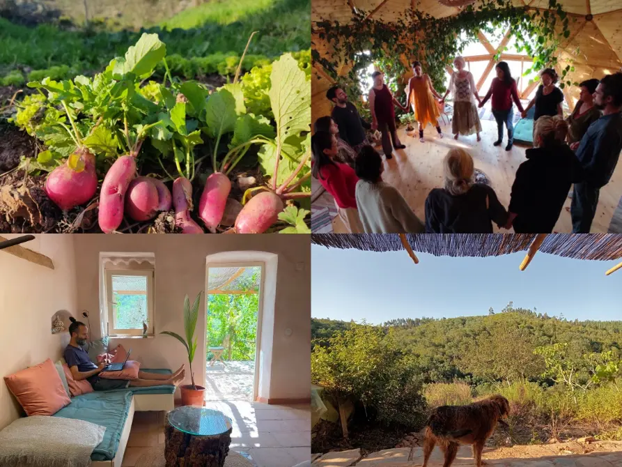 Collage from a sustainable off grid family farm in Alentejo, Portugal, showing garden harvest, a group gathering indoors, a simple room for remote work or rest, and forest views from the rural property where volunteers help with gardening, building and daily farm life.