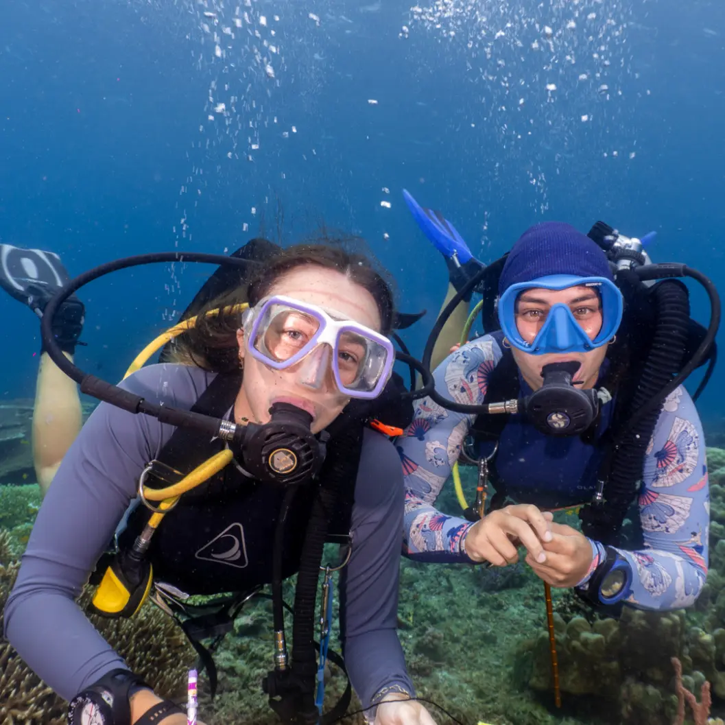 Two Marine Conservation Philippines volunteers scuba diving underwater above a coral reef in Negros Oriental, Philippines