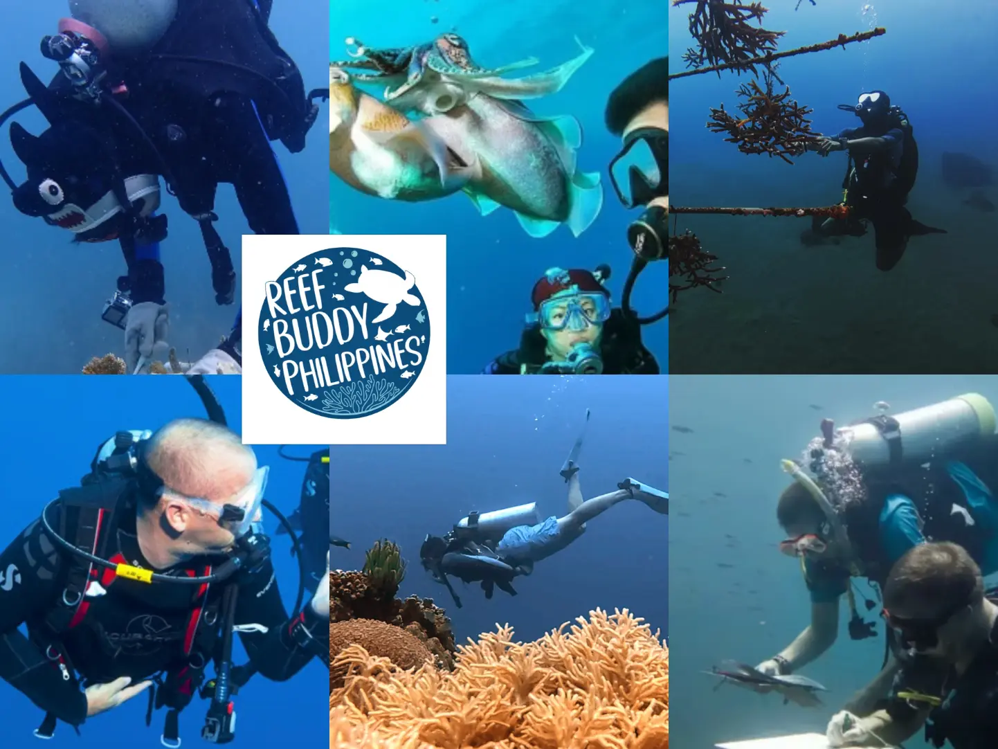 Collage of underwater scenes showing scuba divers doing reef monitoring and coral restoration, coral structures and reef life, with the Reef Buddy Philippines logo in the center.