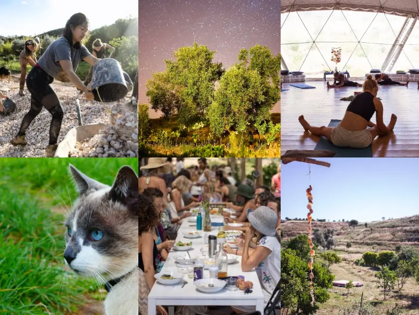 Collage of a volunteer retreat in the Algarve, Portugal, with gardening work, yoga inside a dome, shared vegetarian meals, countryside views, trees under the stars and a cat on site.