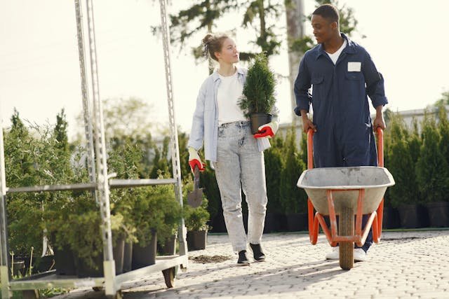 Two young volunteers working together in a garden nursery, carrying a plant and a wheelbarrow while communicating respectfully during an international volunteer exchange.