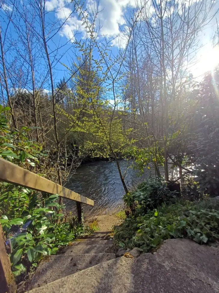 Steps leading down to the Aisne river at a riverside volunteering project in rural Belgium near Durbuy