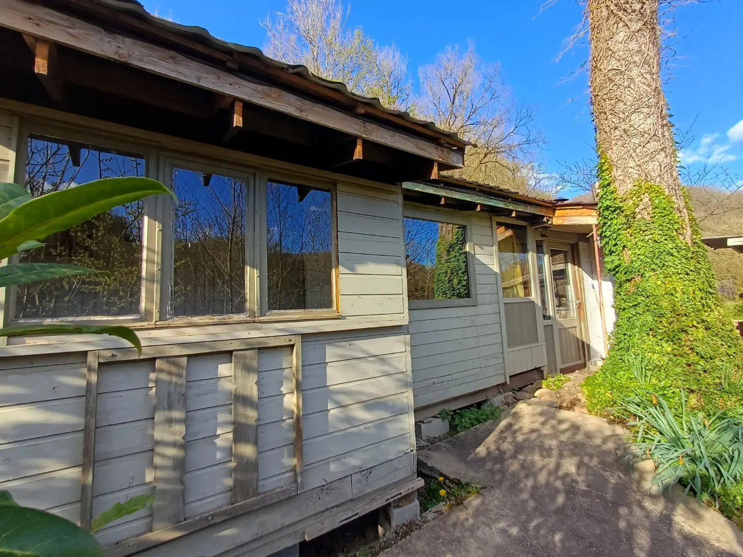 Wooden chalet surrounded by trees at a rural volunteering project in the Belgian Ardennes near Durbuy