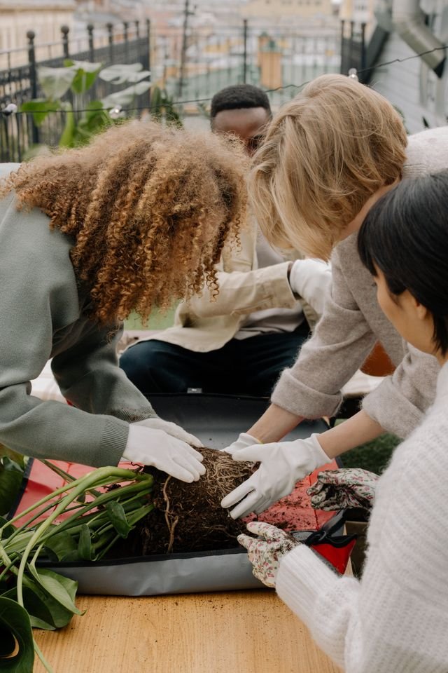 A small group of people wearing gardening gloves repot a plant together, representing community gardening, ecological learning and hands-on sustainability in ecovillage spaces.