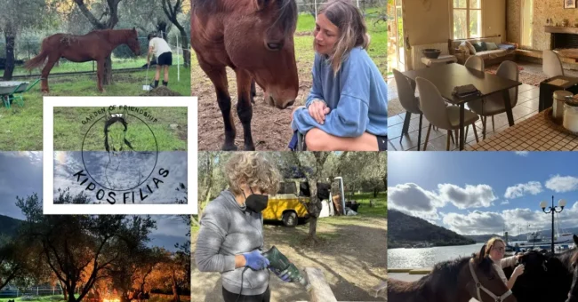 Collage of Kipos Filias in Lesvos, Greece, showing horses, olive trees, a shared living space, a volunteer sanding wood, and the sea near this horse care, gardening and creative volunteering project.