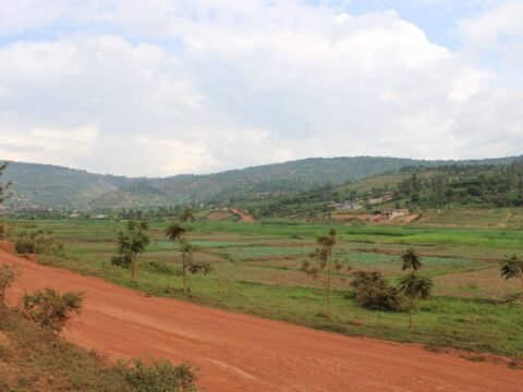 Green rural landscape and rolling hills near Kigali, Rwanda