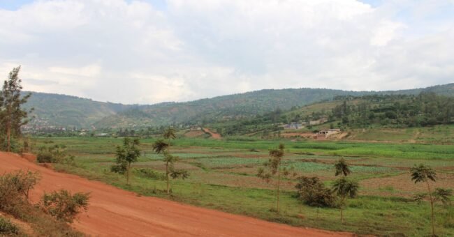 Green rural landscape and rolling hills near Kigali, Rwanda