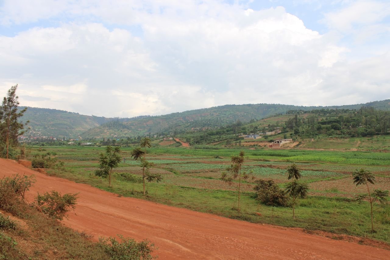 Green rural landscape and rolling hills near Kigali, Rwanda