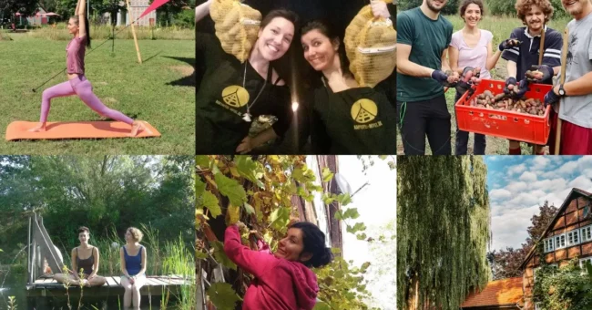 Volunteering in Germany with accommodation at a yoga retreat and potato hotel