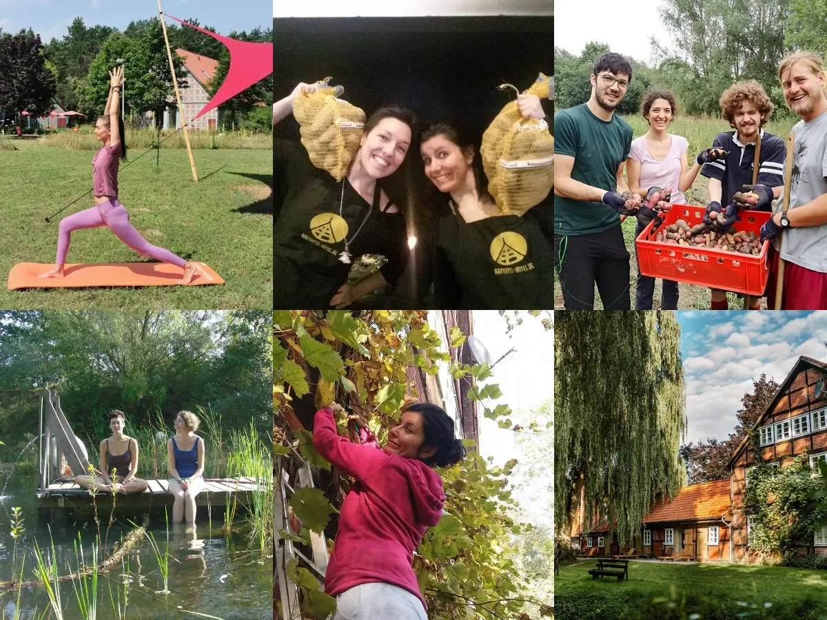Volunteering in Germany with accommodation at a yoga retreat and potato hotel