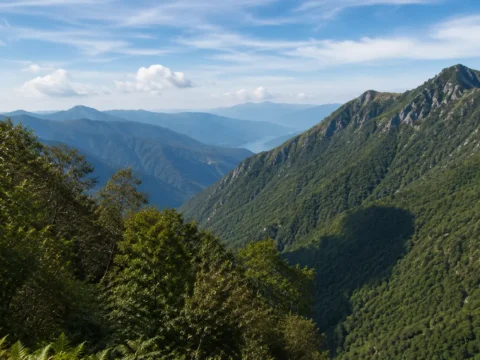 Forested mountain landscape near Lake Maggiore in Italy, representing volunteer projects around Lake Maggiore