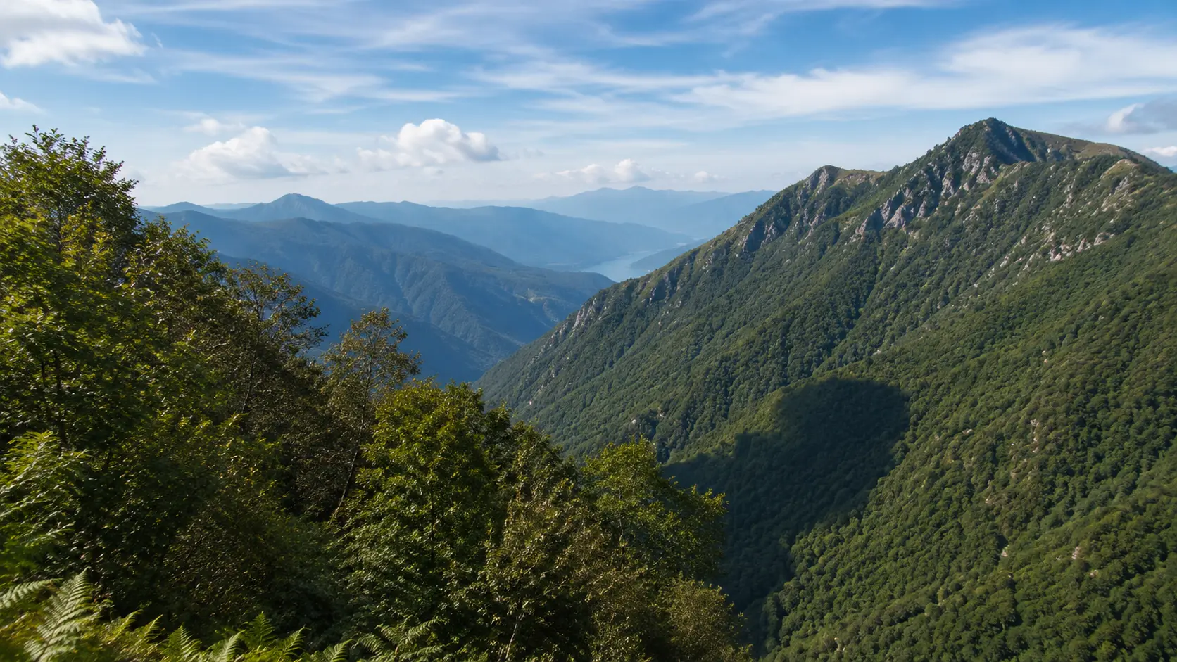 Forested mountain landscape near Lake Maggiore in Italy, representing volunteer projects around Lake Maggiore