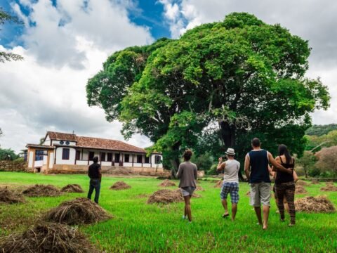 Group walking through a green rural landscape, illustrating ecovillage community living