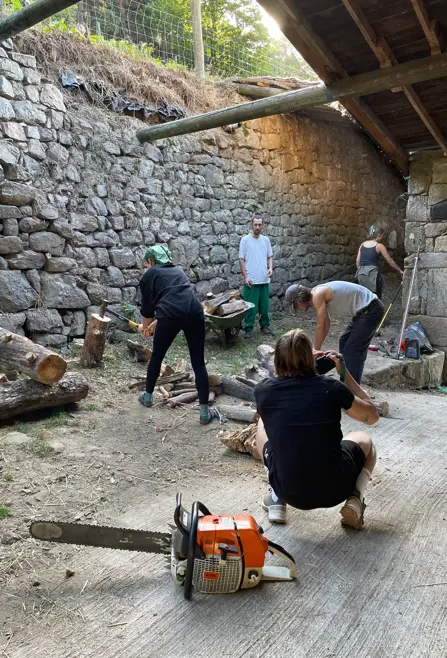 Volunteers splitting and moving firewood in a stone farm courtyard during a rural work exchange in Ardèche