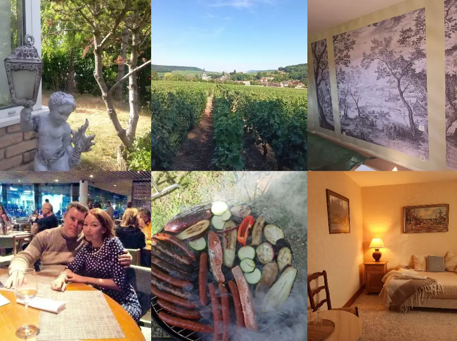 Collage showing a garden, Champagne vineyard, decorated room, barbecue, guest bedroom and two people dining