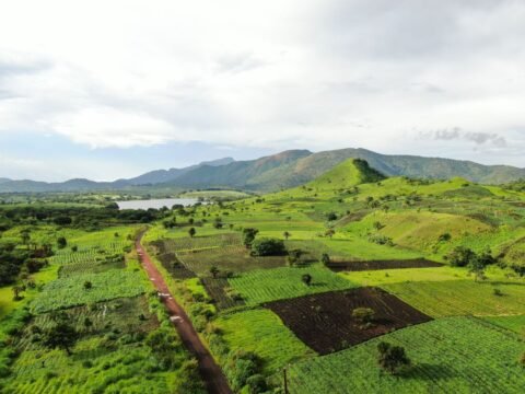 Aerial view of green farmland and rolling hills in Foumbot, Cameroon