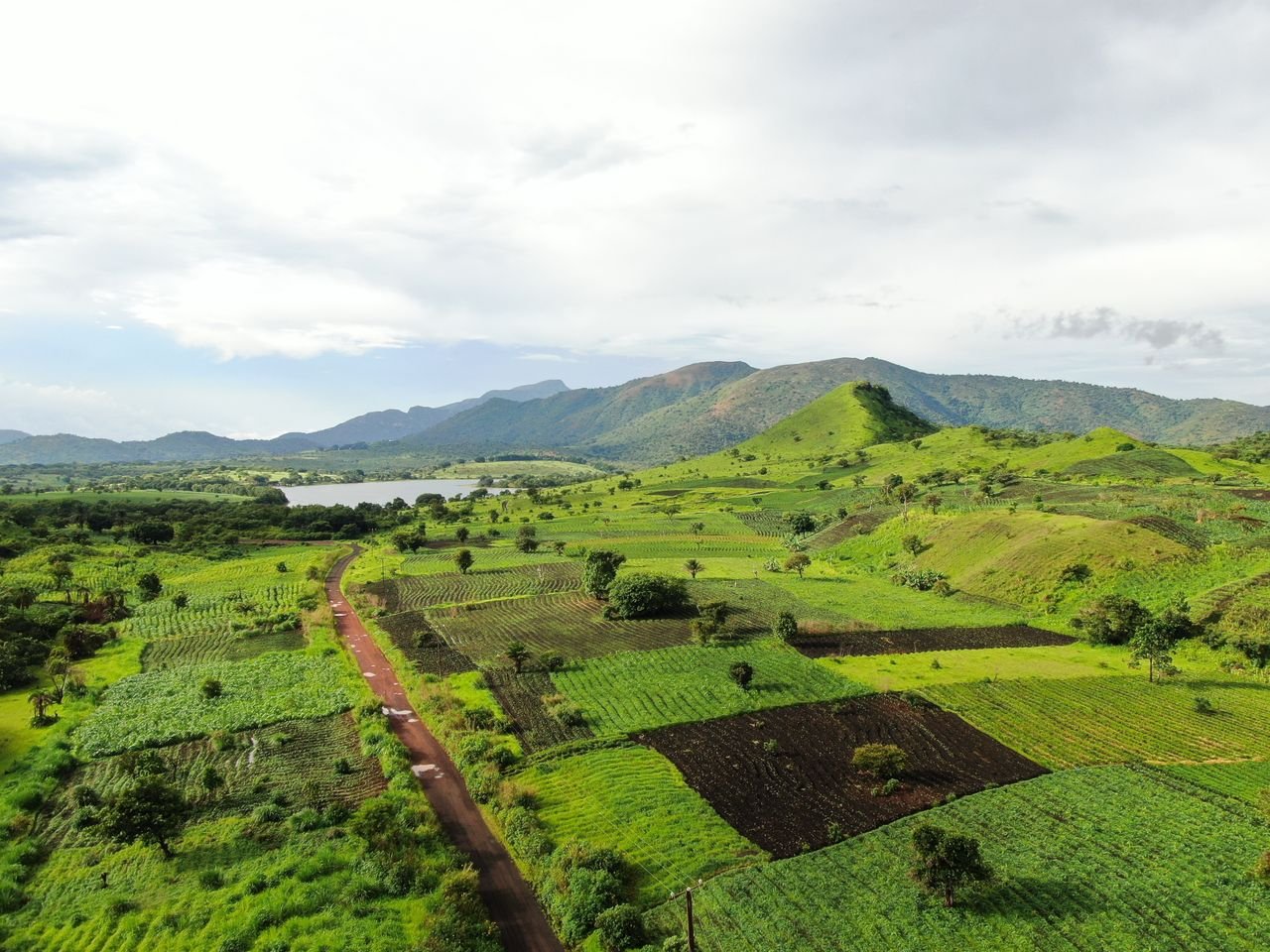 Aerial view of green farmland and rolling hills in Foumbot, Cameroon