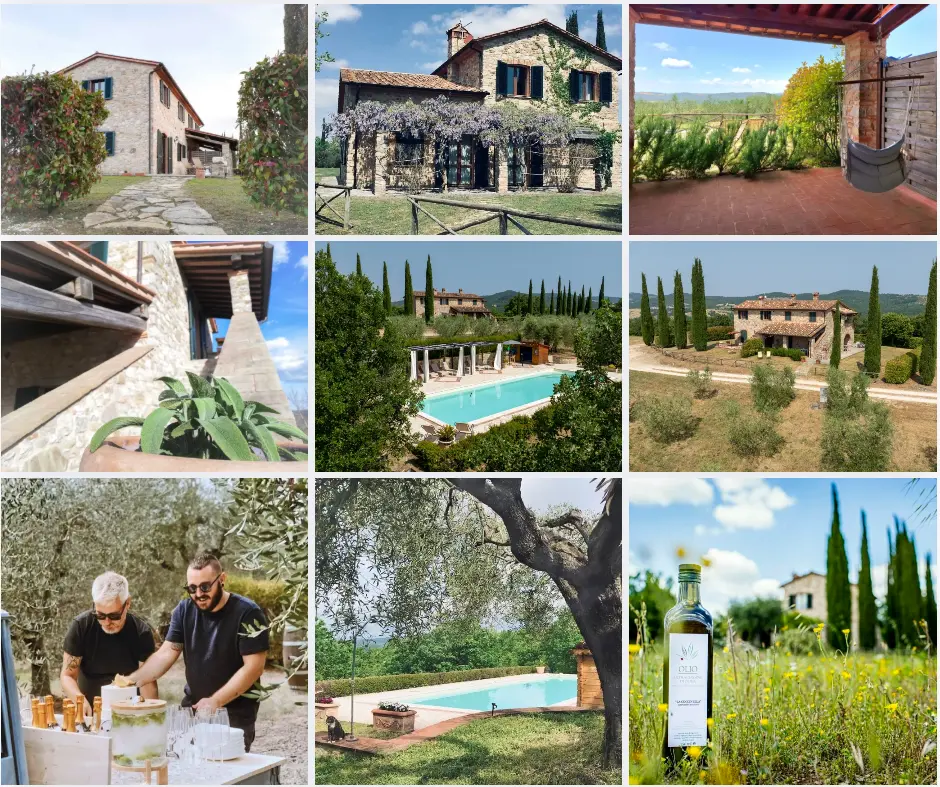 Farmhouse accommodation, swimming pool and countryside setting for an olive harvest exchange in Italy