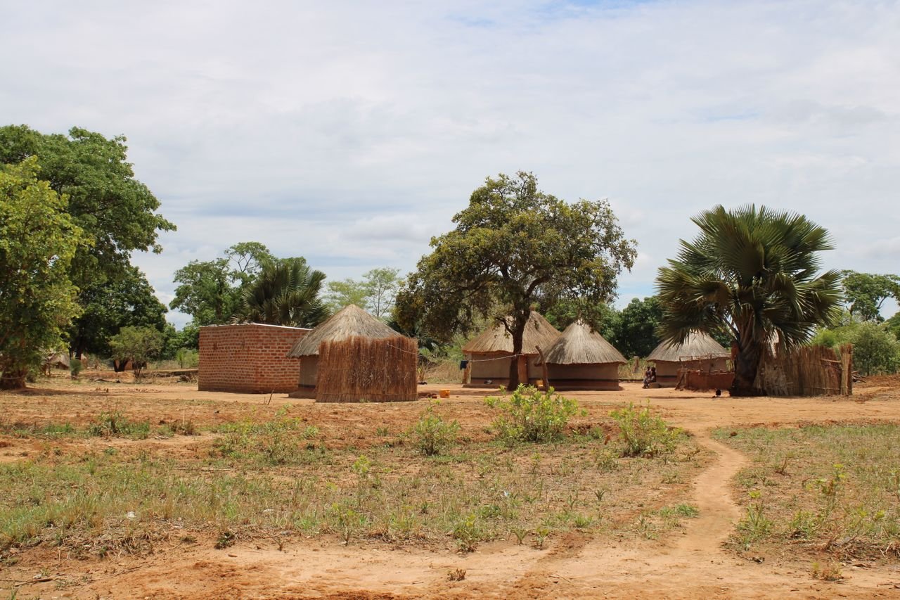 Traditional thatched homes surrounded by green vegetation in rural Zambia