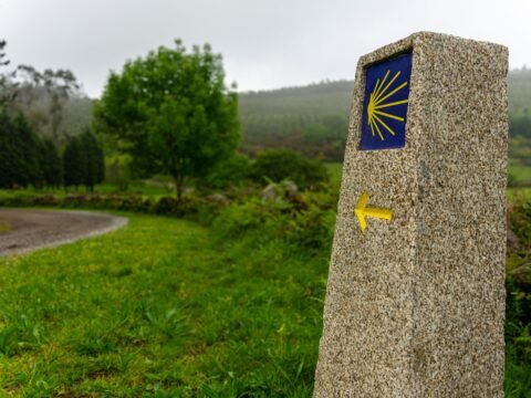 Camino de Santiago volunteer opportunities and pilgrim hospitality, illustrated by a yellow shell waymarker and arrow on a rural path in Spain