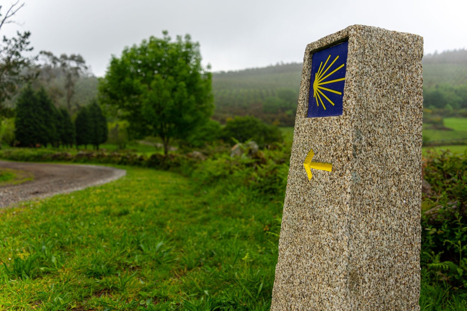 Camino de Santiago volunteer opportunities and pilgrim hospitality, illustrated by a yellow shell waymarker and arrow on a rural path in Spain