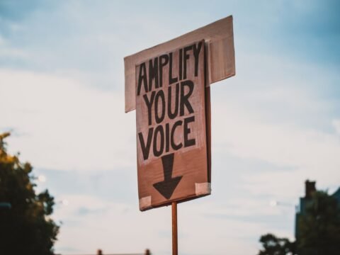 Cardboard protest sign reading “Amplify your voice”, with a downward arrow against a cloudy sky.