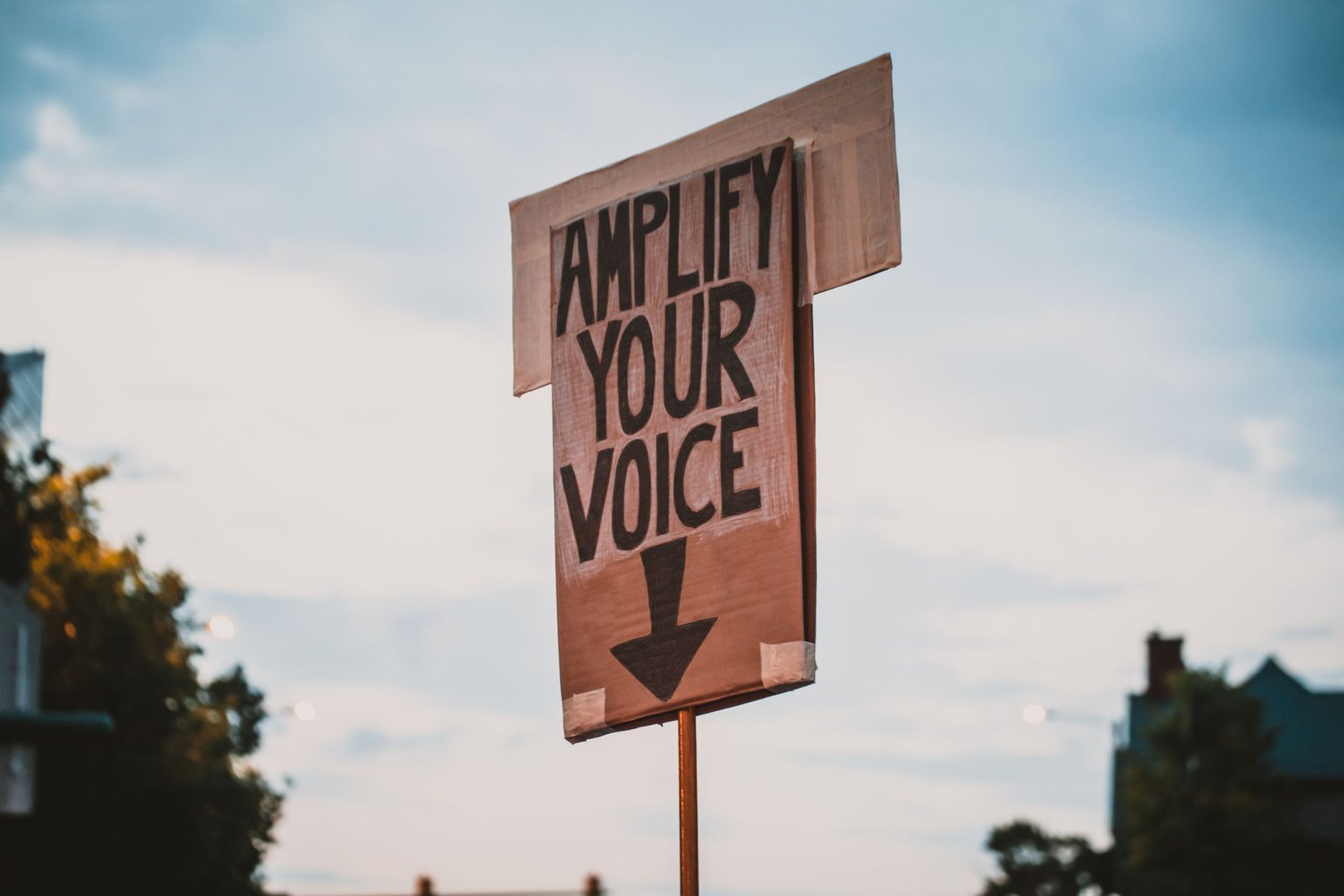 Cardboard protest sign reading “Amplify your voice”, with a downward arrow against a cloudy sky.