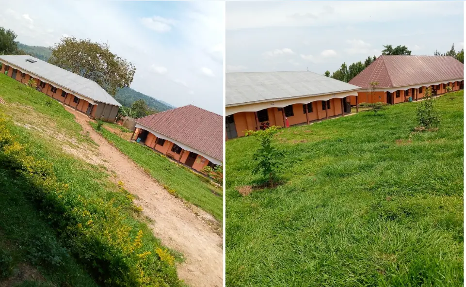 School buildings and green grounds at Kayenje Church of Uganda Primary School in Butambala, Uganda, where volunteers support education and community activities.